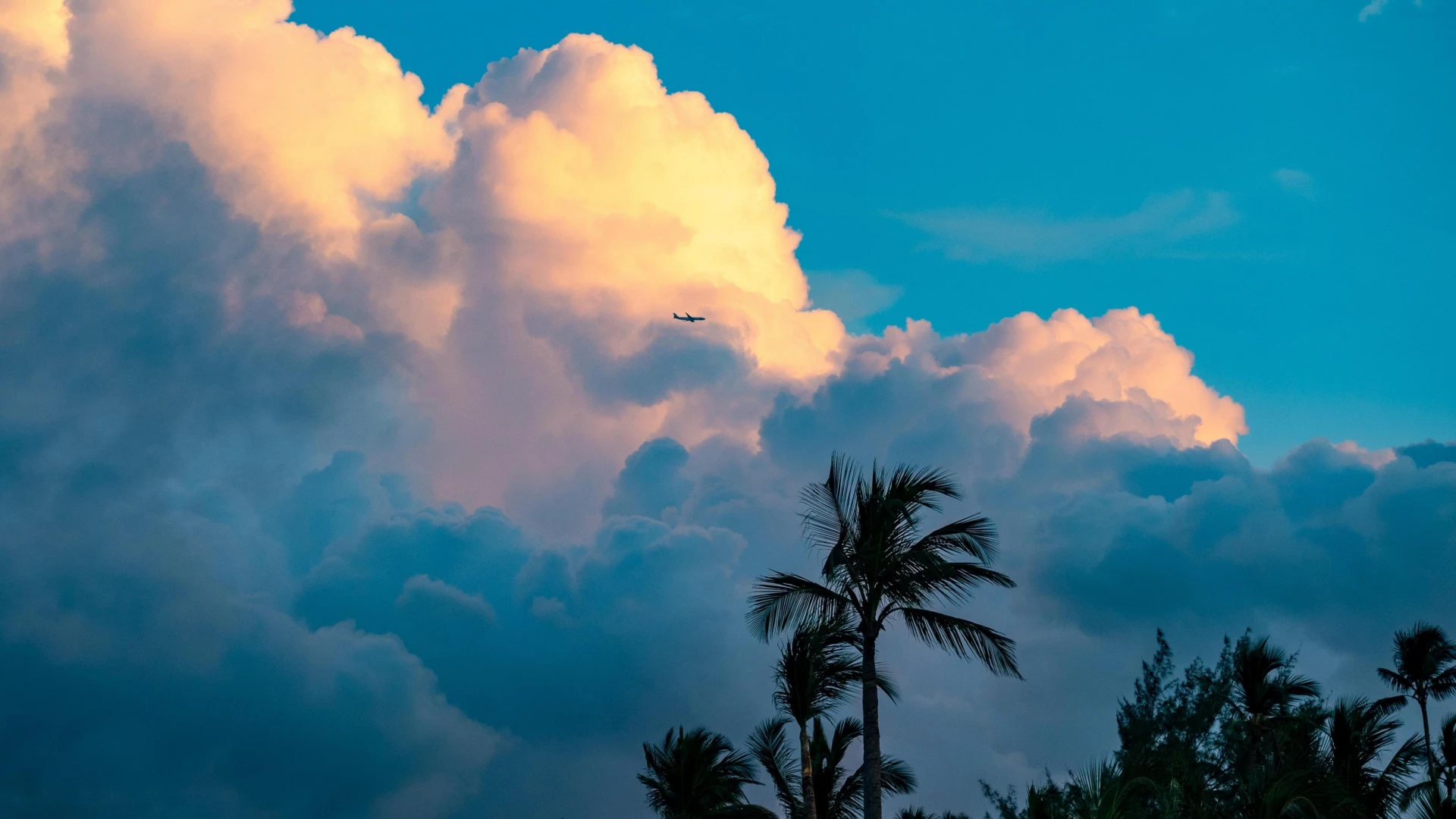 Scenic sky with clouds and palm trees